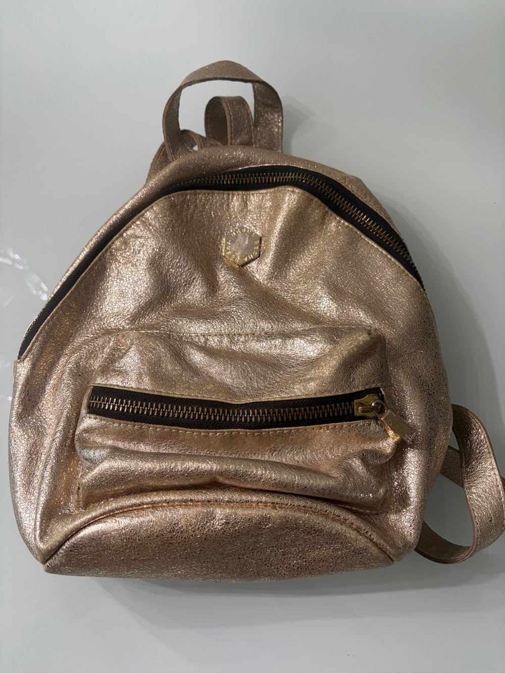 BESHA Argentinean Metallic Gold Leather Tote Bag